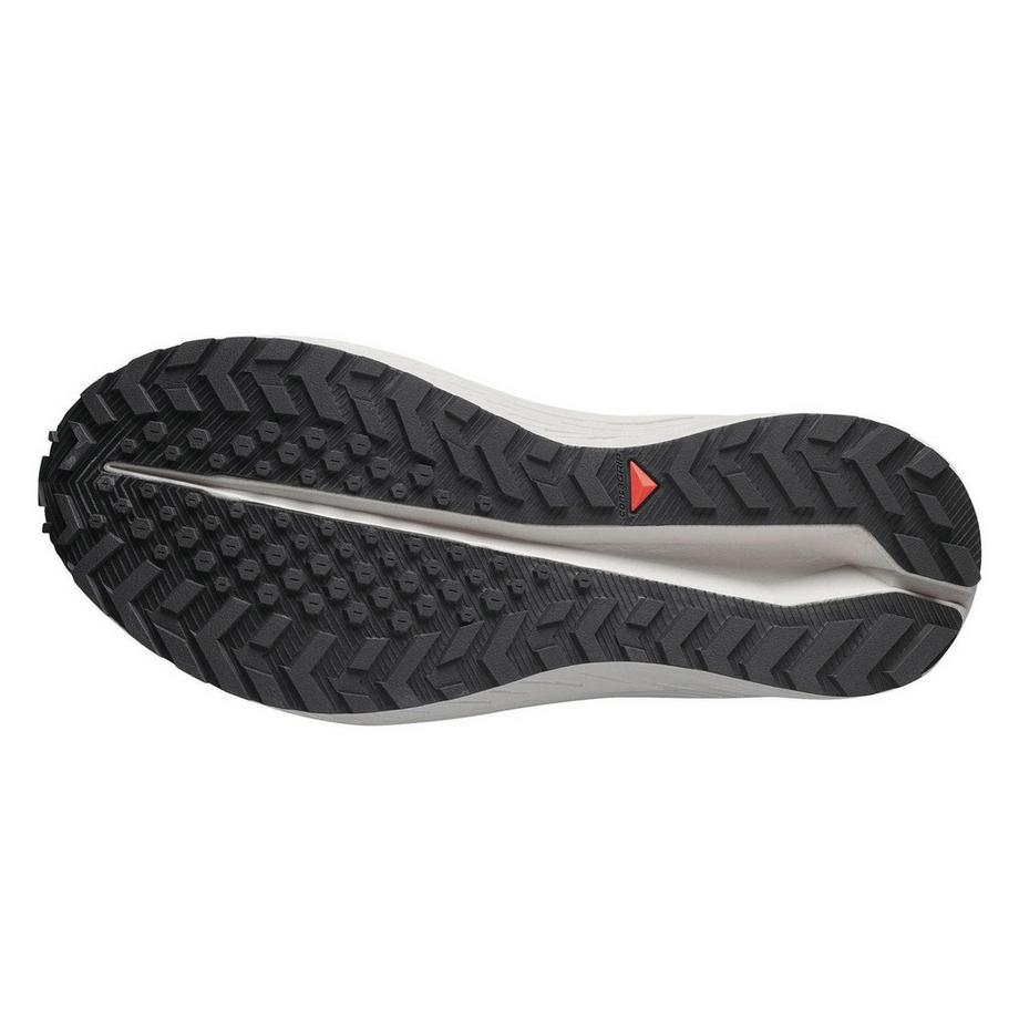 SALOMON Aero Flw Sneaker  