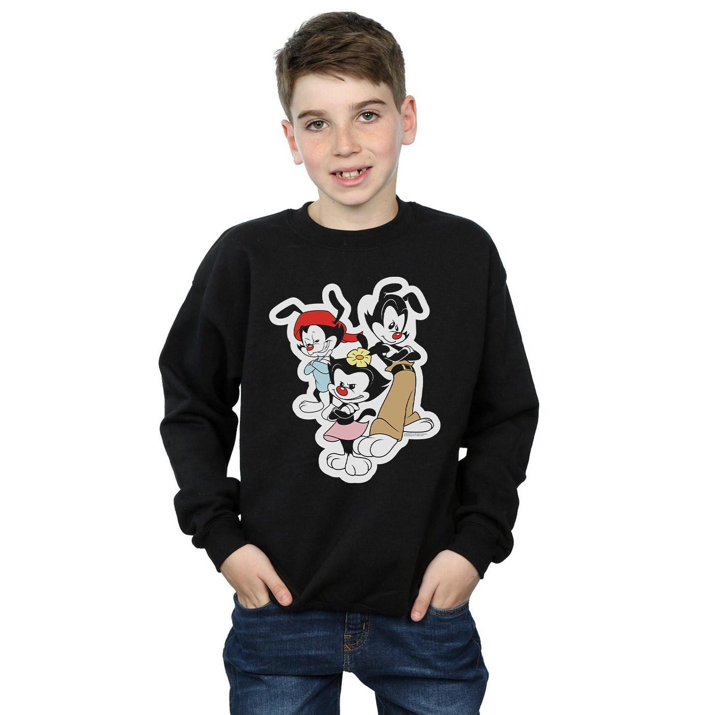 Animaniacs  Sweatshirt 