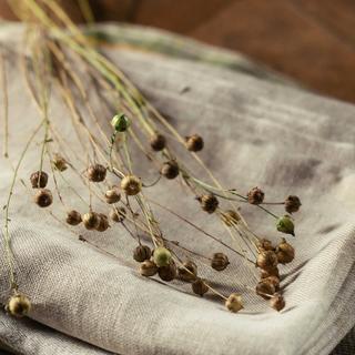 Lotus Bettwaren Linge de lit uni en lin  