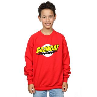 The Big Bang Theory  Sweat BAZINGA 