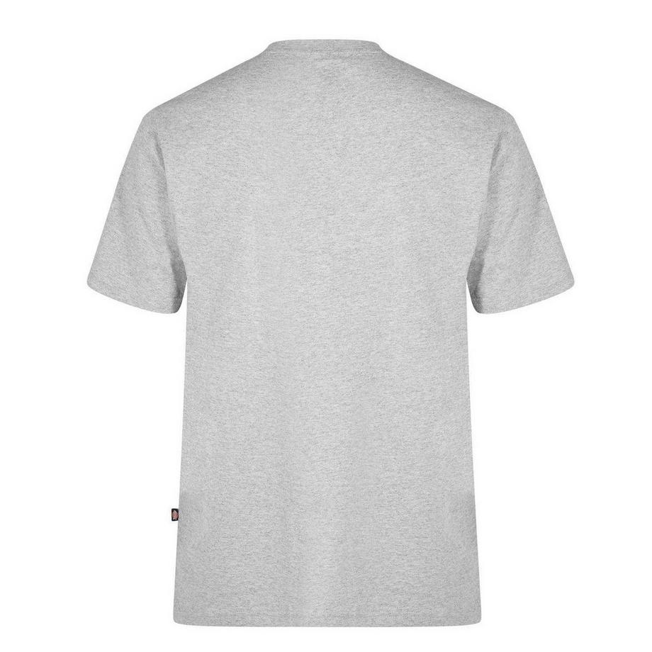 Dickies T-ShirtMapleton  