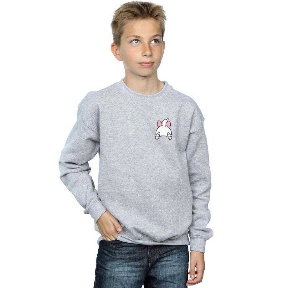 Disney  Aristocats Sweatshirt 