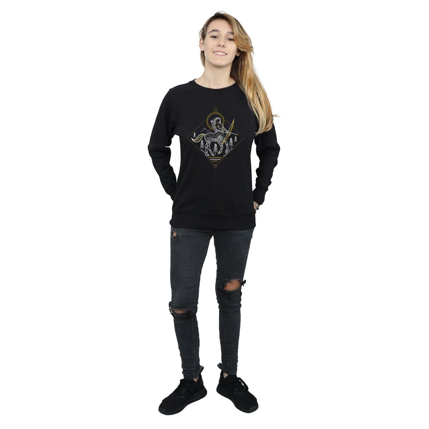 Harry Potter Sweatshirt Graphique Centaure  