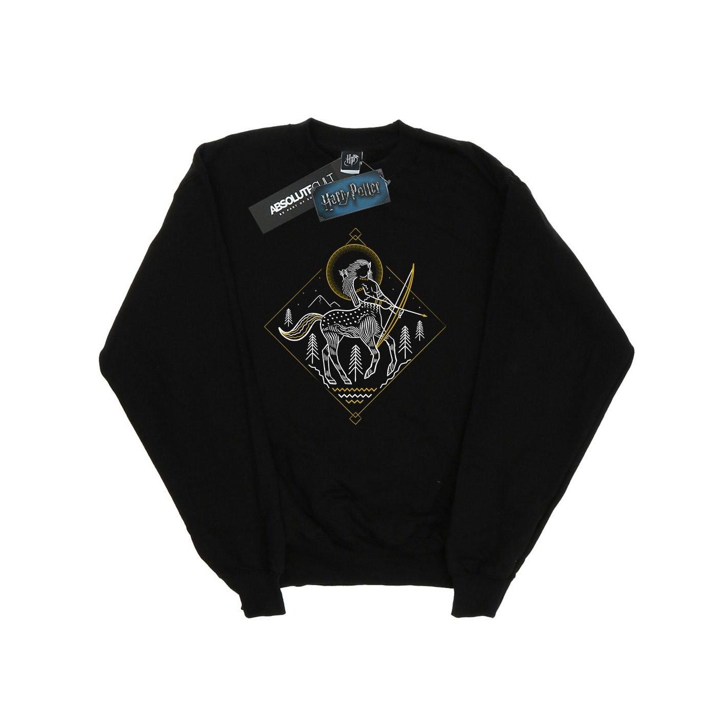 Harry Potter Sweatshirt Graphique Centaure  