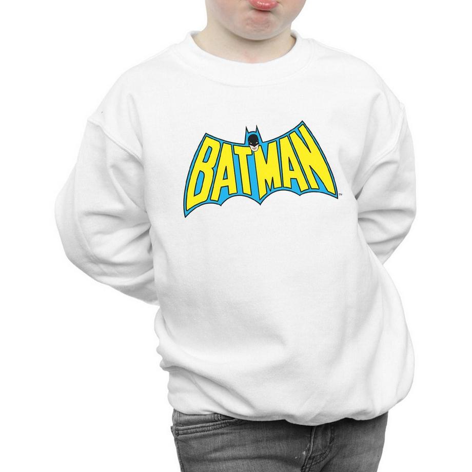 DC COMICS  Sweatshirt 