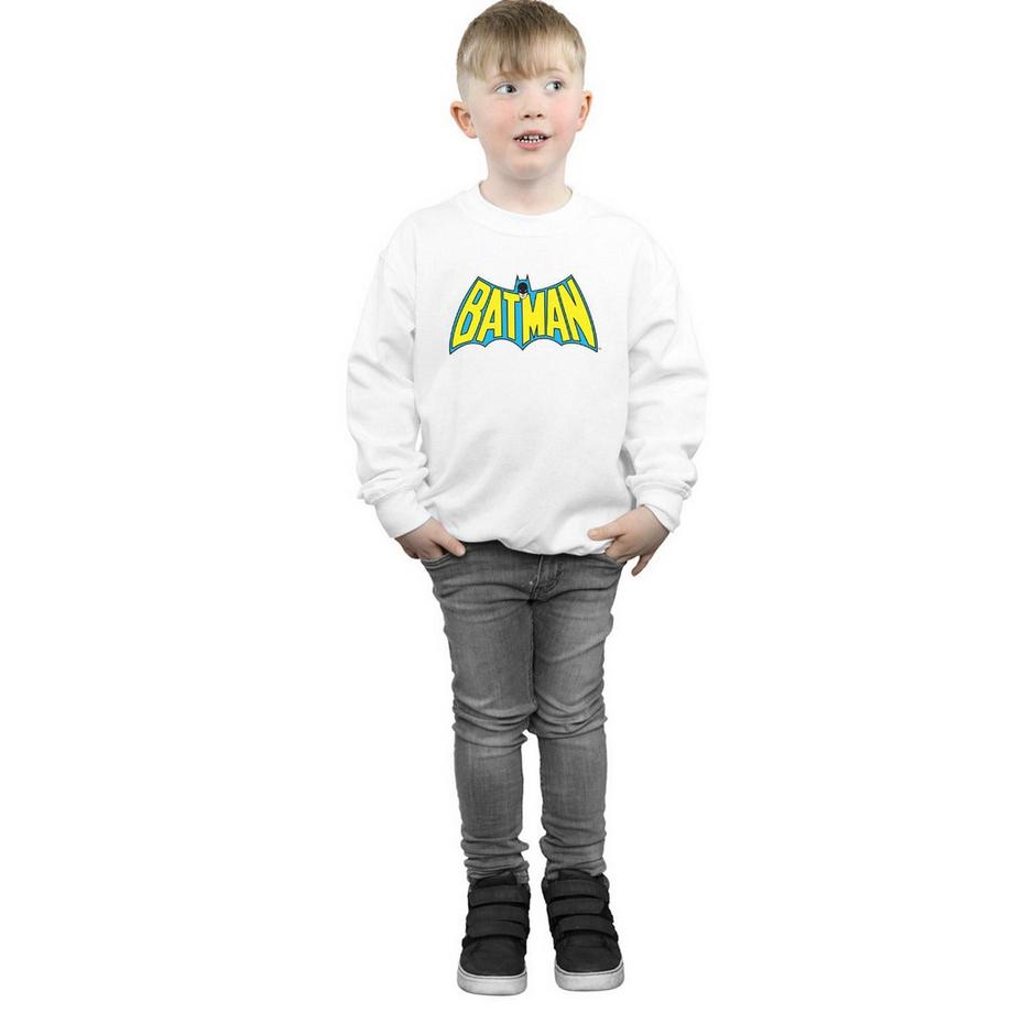 DC COMICS  Sweatshirt 