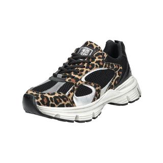 STEVE MADDEN  Sneaker SM11001908 