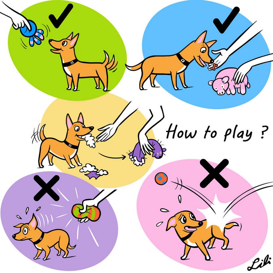Alopini  Pack de 3 Jouets pour Chiens Couineurs, Jeu Interactif Grinçant pour Chiot Animal Long 