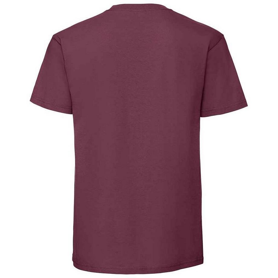Fruit of the Loom Iconic 195 Premium T-Shirt  