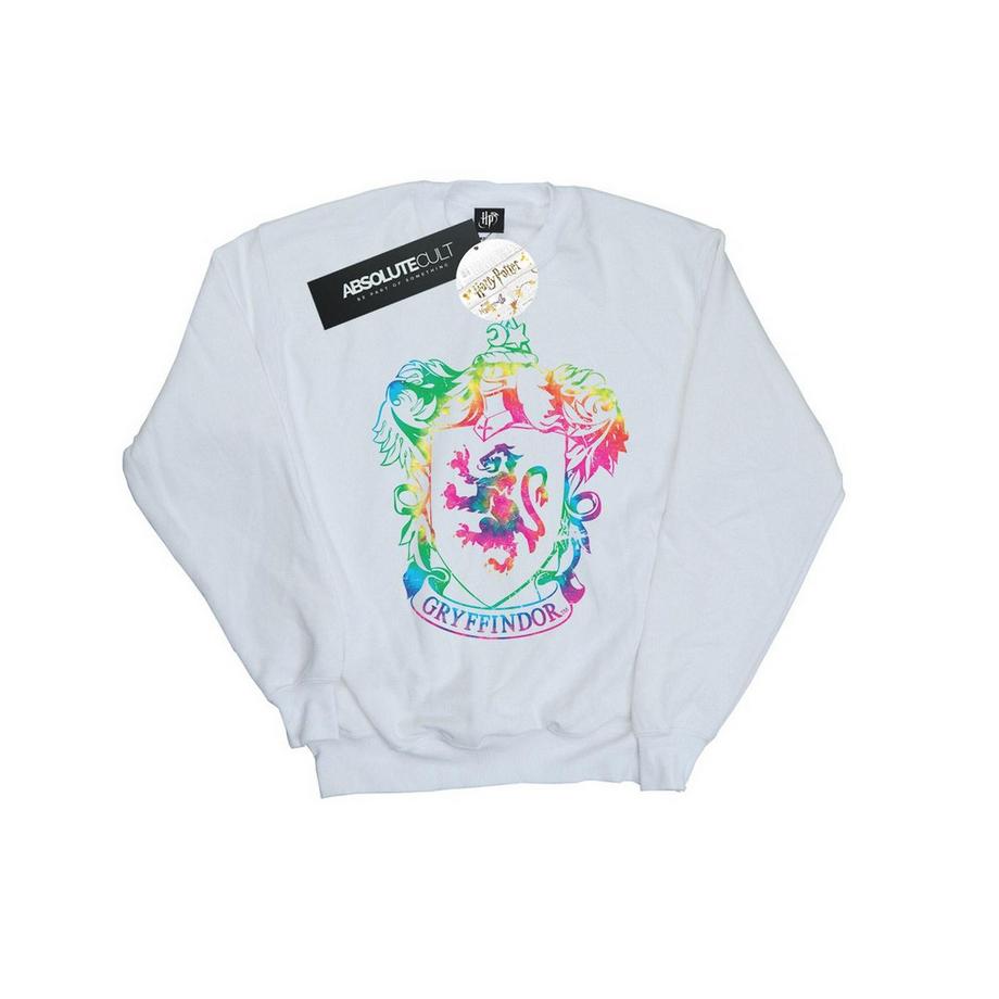 Harry Potter Gryffindor Rainbow Crest Sweatshirt  