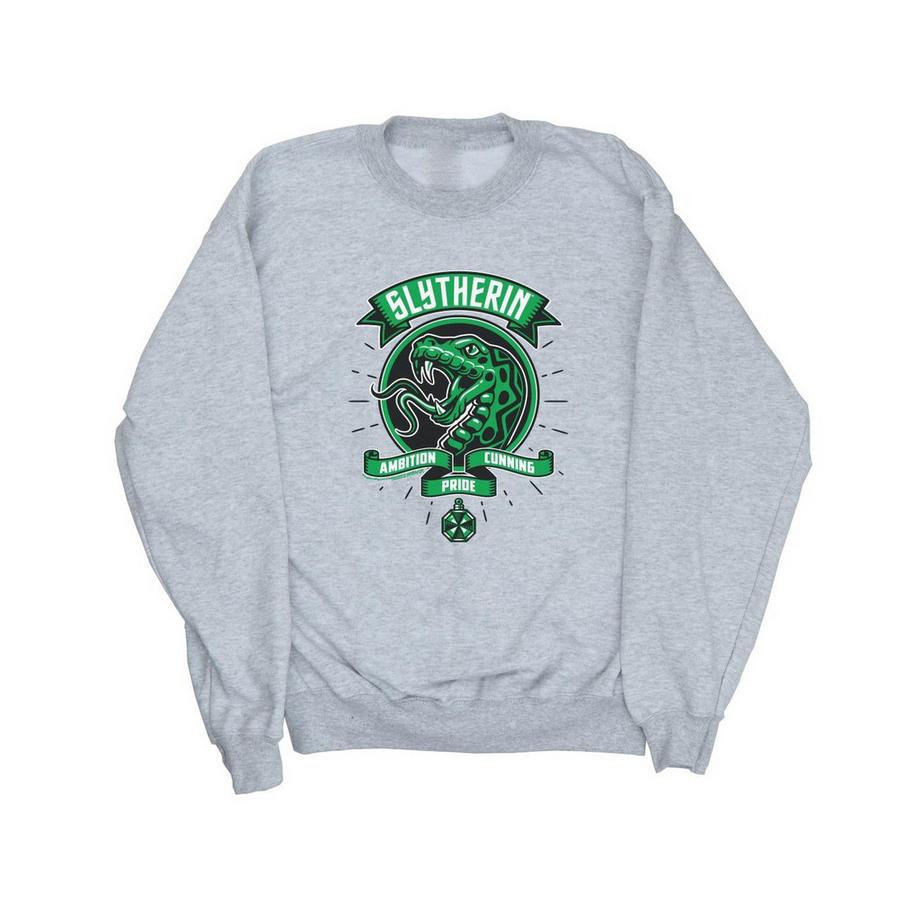 Harry Potter Slytherin Sweatshirt  