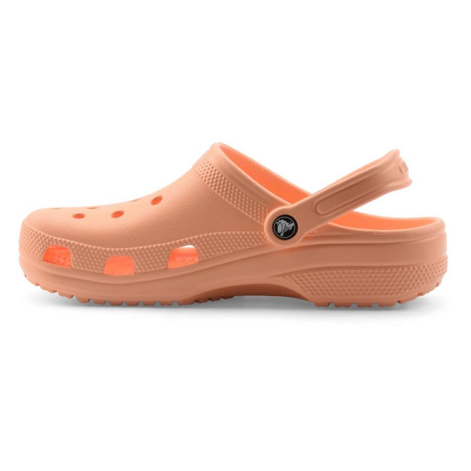 crocs Classic Clog  