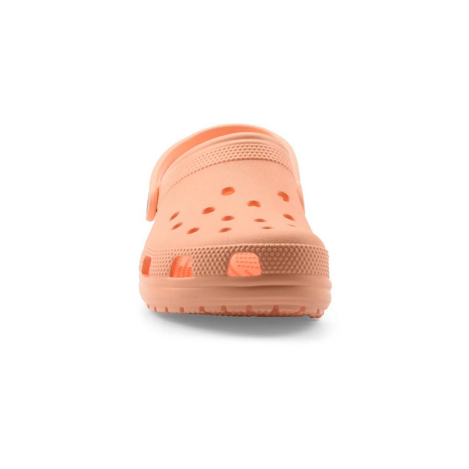 crocs Classic Clog  