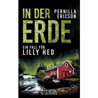 In der Erde Ericson, Pernilla; Buchinger, Friederike (Übersetzung) Couverture rigide 