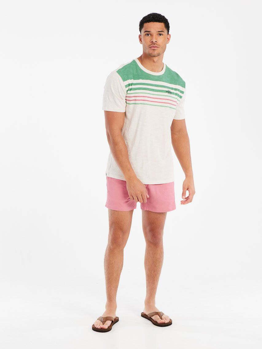 PROTEST PRTHowlen T-Shirt a Righe  