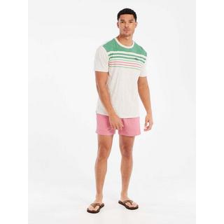 PROTEST PRTHowlen T-Shirt a Righe  