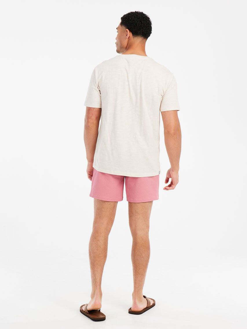 PROTEST PRTHowlen T-Shirt a Righe  