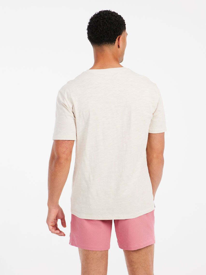 PROTEST PRTHowlen T-Shirt a Righe  