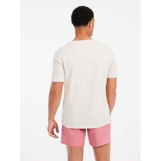 PROTEST PRTHowlen T-Shirt a Righe  