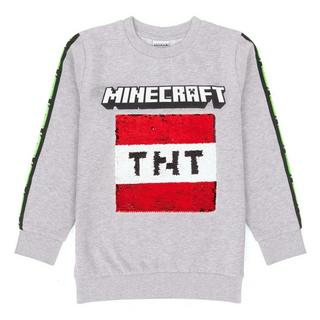 MINECRAFT  Sweatshirt 
