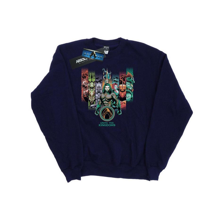 DC COMICS Unite The Kingdoms Sweatshirt  