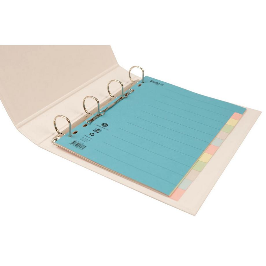 Biella BIELLA Register Karton farbig A4 461412.00 12-teilig, blanko  