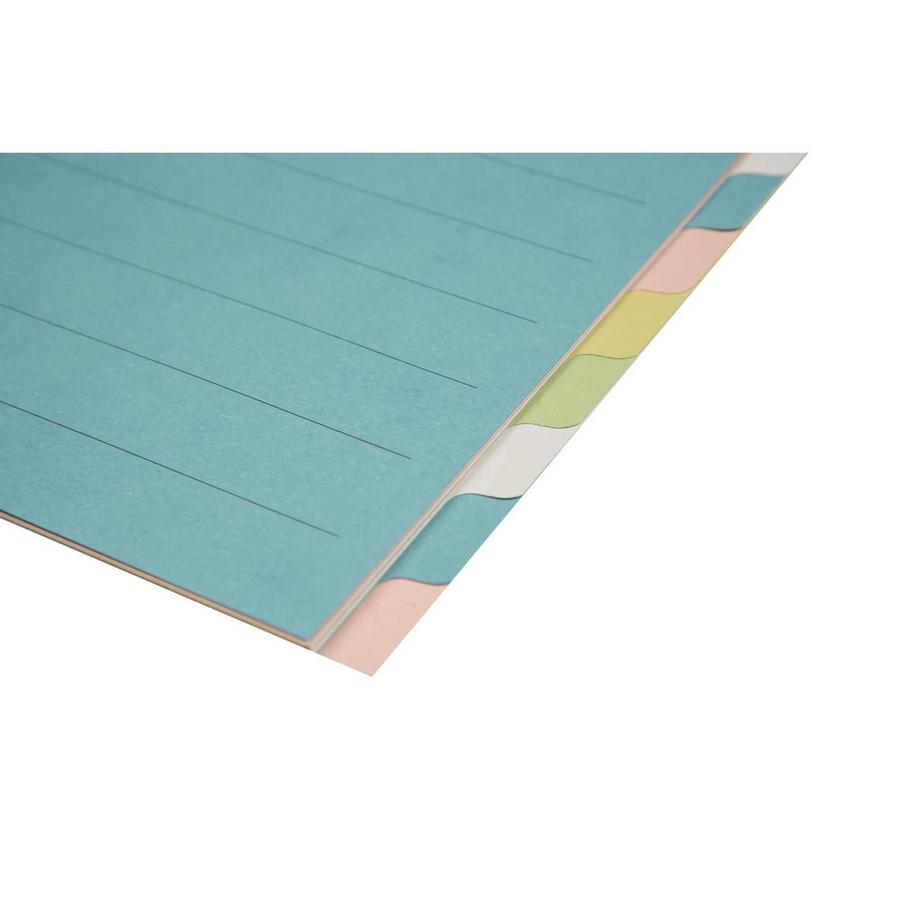 Biella BIELLA Register Karton farbig A4 461412.00 12-teilig, blanko  