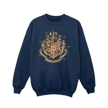 Harry Potter  Sweatshirt 
