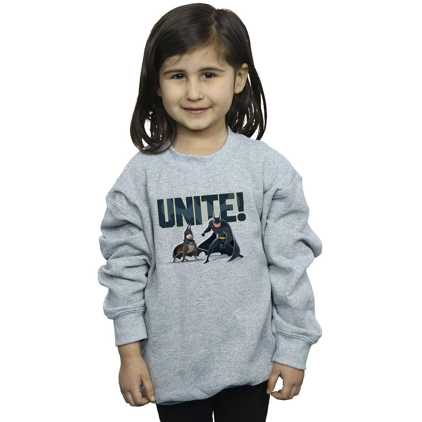 DC COMICS  DC League Of SuperPets Unite Pair Sweatshirt 