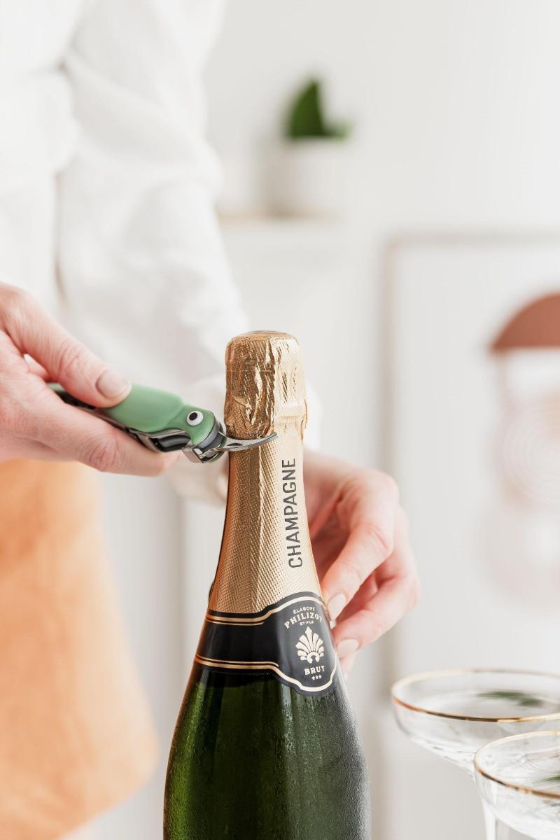 Uberstar Flaschenöffner Wellensittich Grün  