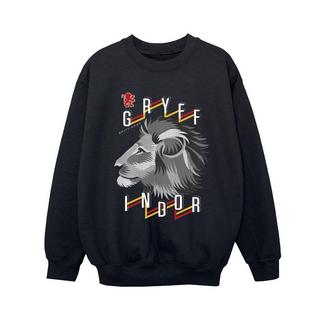 Harry Potter  Gryffindor Sweatshirt 