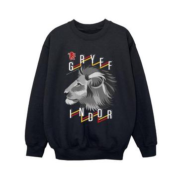 Gryffindor Sweatshirt