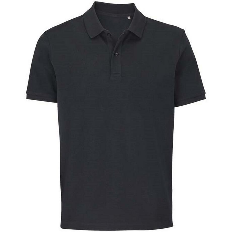 Polo Pegase