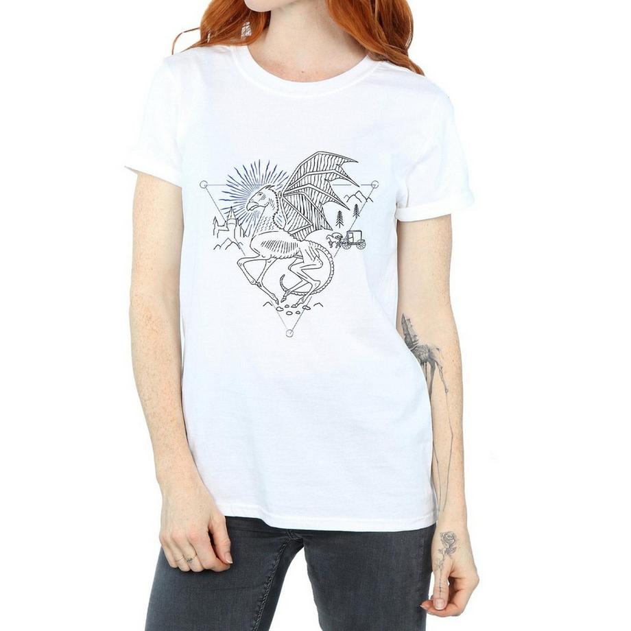 HARRY-POTTER Thestral Geometrisches T-Shirt  