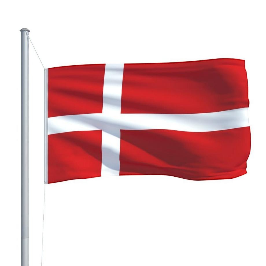 VidaXL Drapeau danemark  