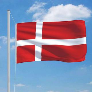 VidaXL bandiera della Danimarca  