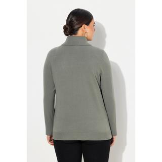 Ulla Popken  Rollkragenpullover, breite Rippbündchen, Langarm 