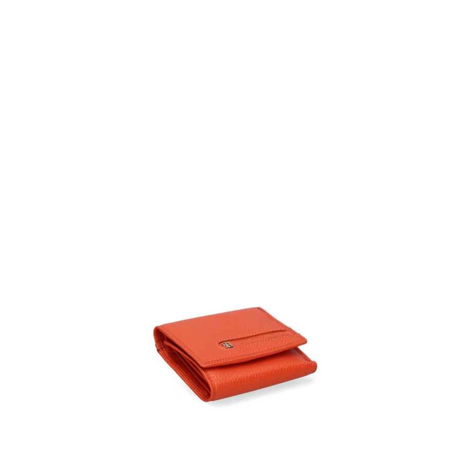 Renato Balestra Portafoglio  