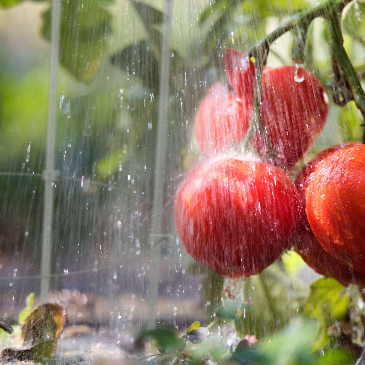 B2X Grauer Creeper 76 cm 6er Set  