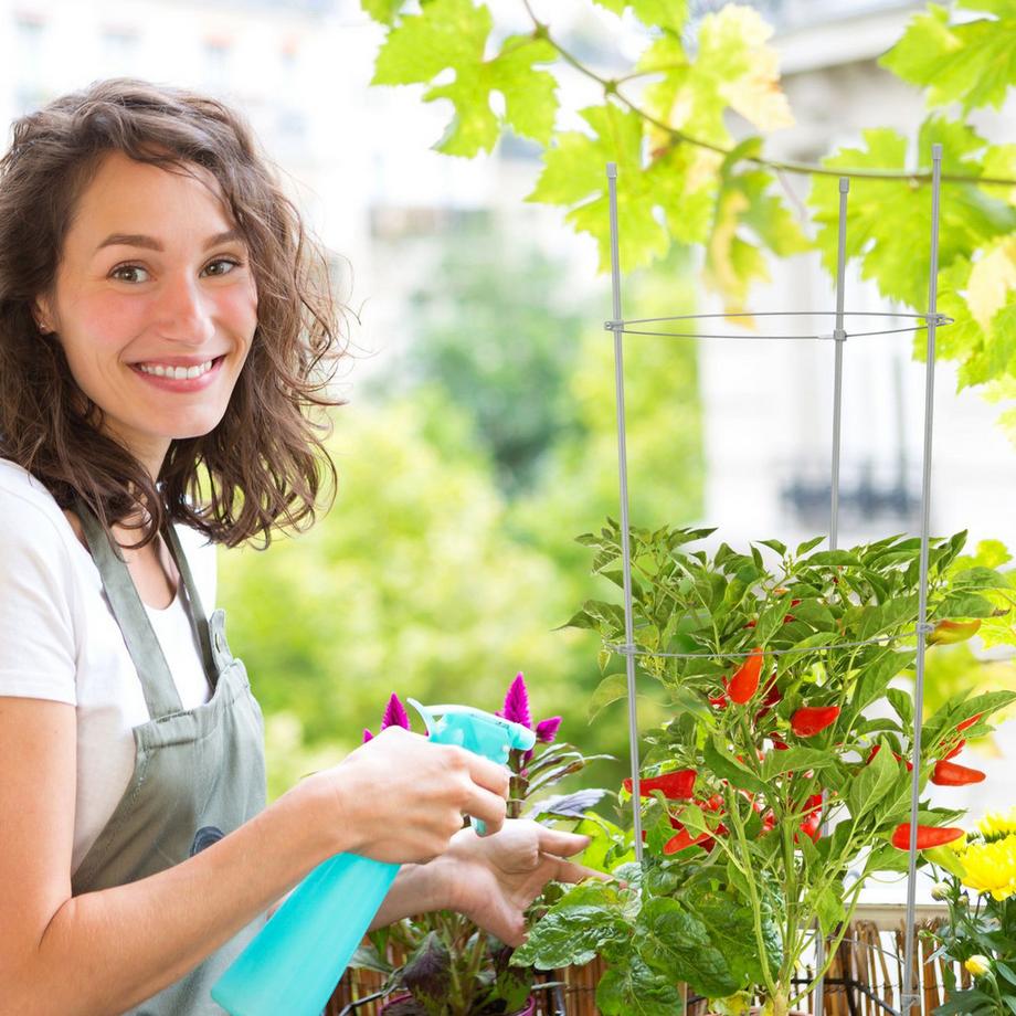 B2X Creeper grigio 76 cm Set di 6 pezzi  