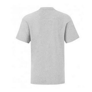 Fruit of the Loom  Iconic TShirt 