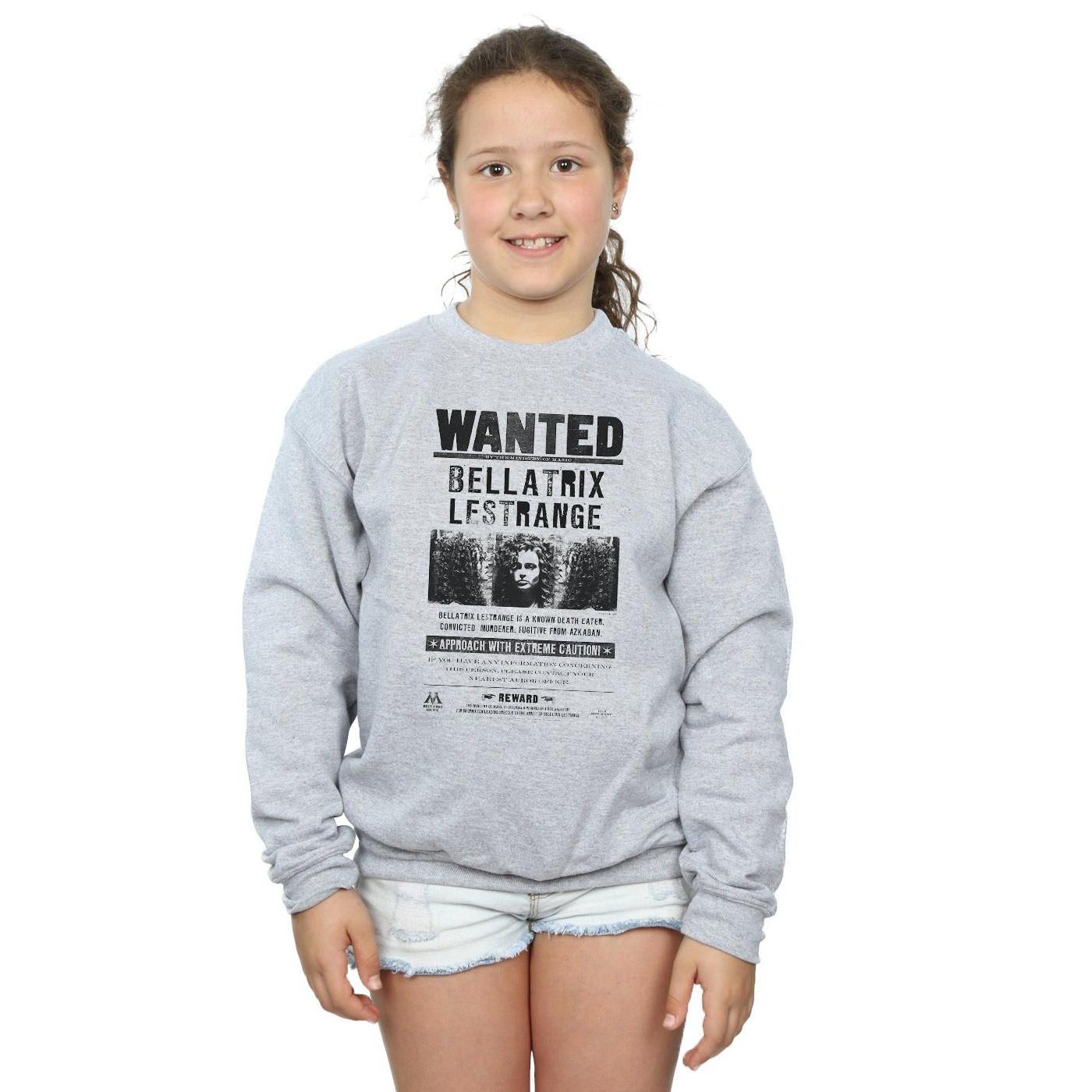 Harry Potter  Wanted Sweatshirt 