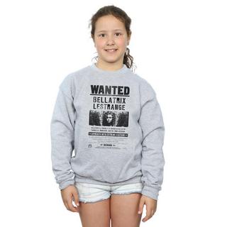 Harry Potter  Wanted Sweatshirt 