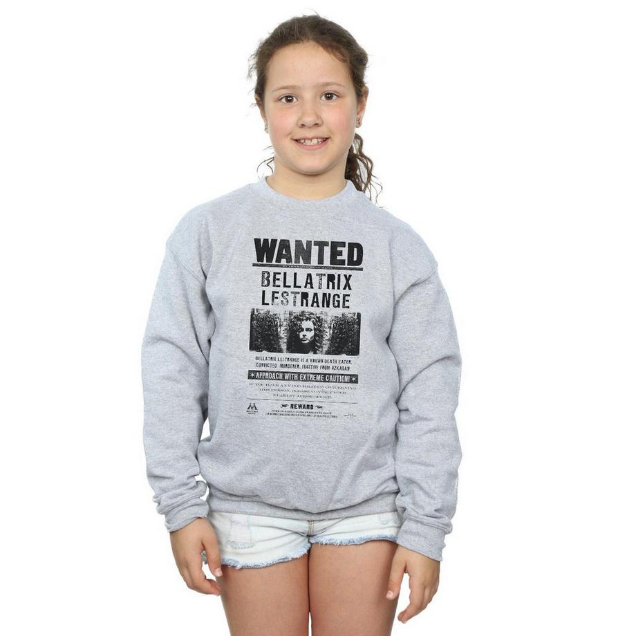 Harry Potter  Wanted Sweatshirt 