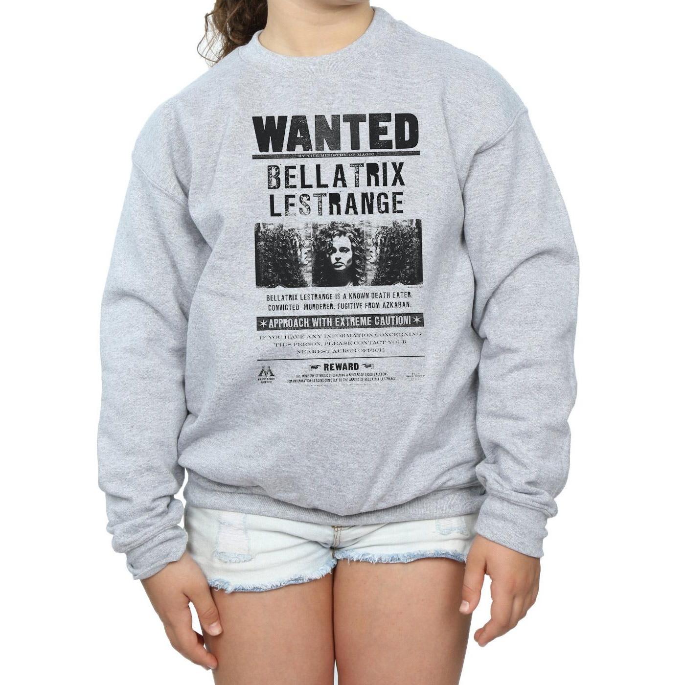 Harry Potter  Wanted Sweatshirt 