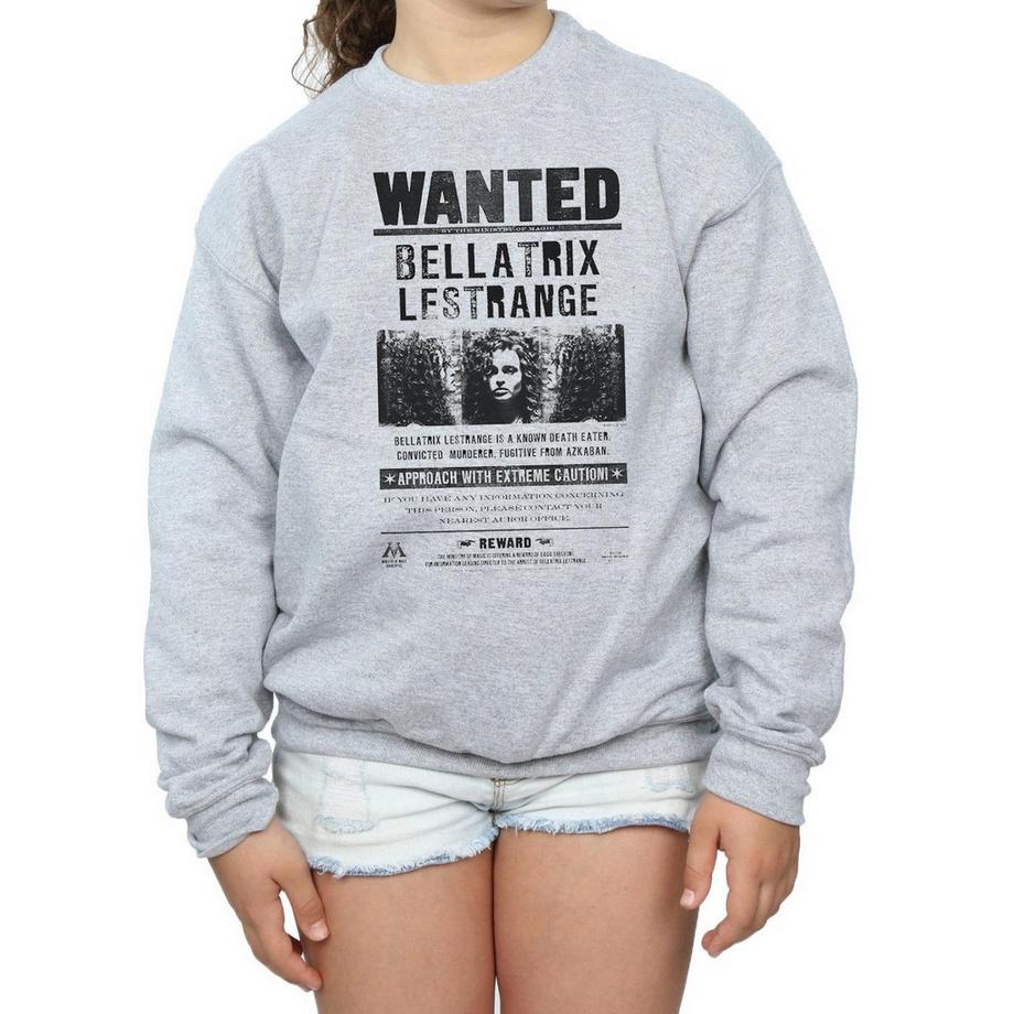 Harry Potter  Wanted Sweatshirt 