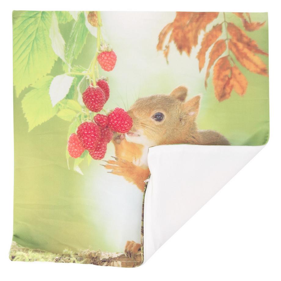 Avizar 2 Stk. Kissenbezüge Eichhörnchen  