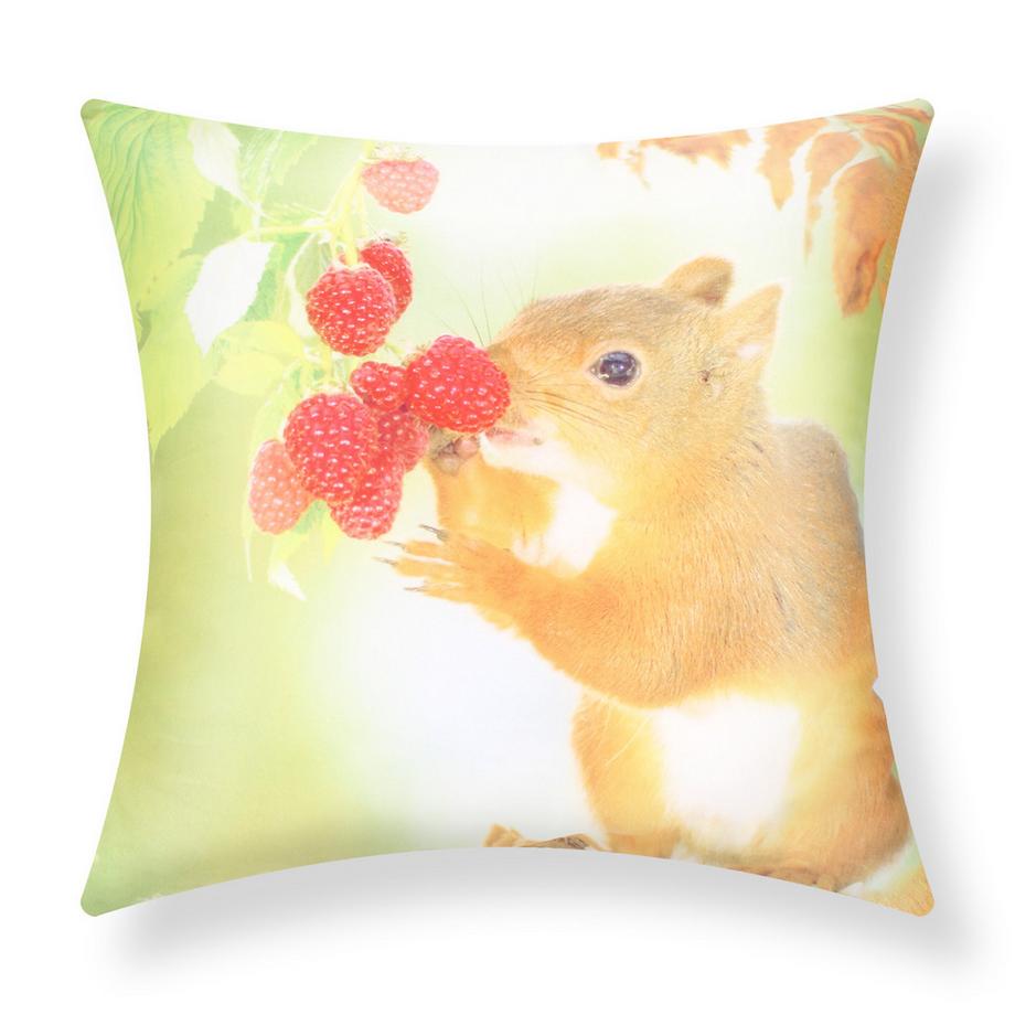 2 Stk. Kissenbezüge Eichhörnchen