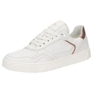 Sioux  Sneaker Maites sneaker 001 