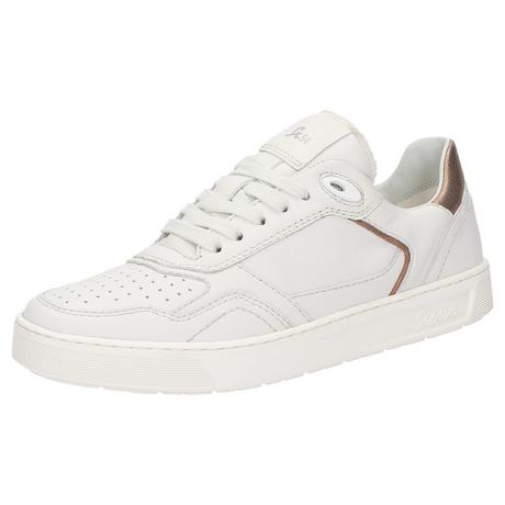 Sioux  Sneaker Maites sneaker 001 